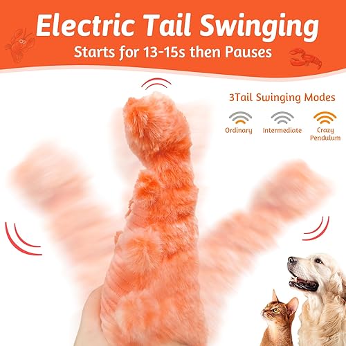 Wagging Tail Lobster Interactive Pet Toy | Smart Toy For Cats & Dogs to Keep Them Busy for Boredom