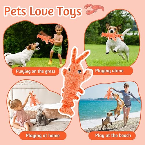 Wagging Tail Lobster Interactive Pet Toy | Smart Toy For Cats & Dogs to Keep Them Busy for Boredom