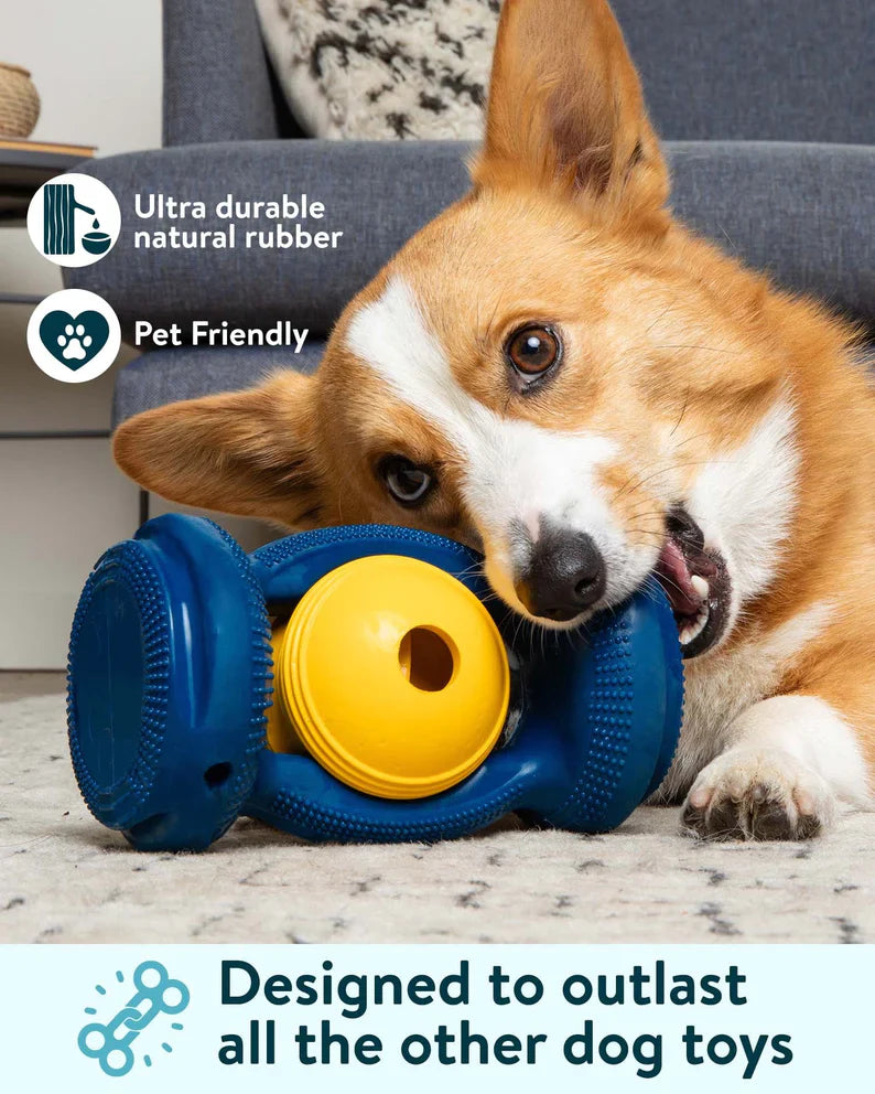 The ALL-in-One Dog toy